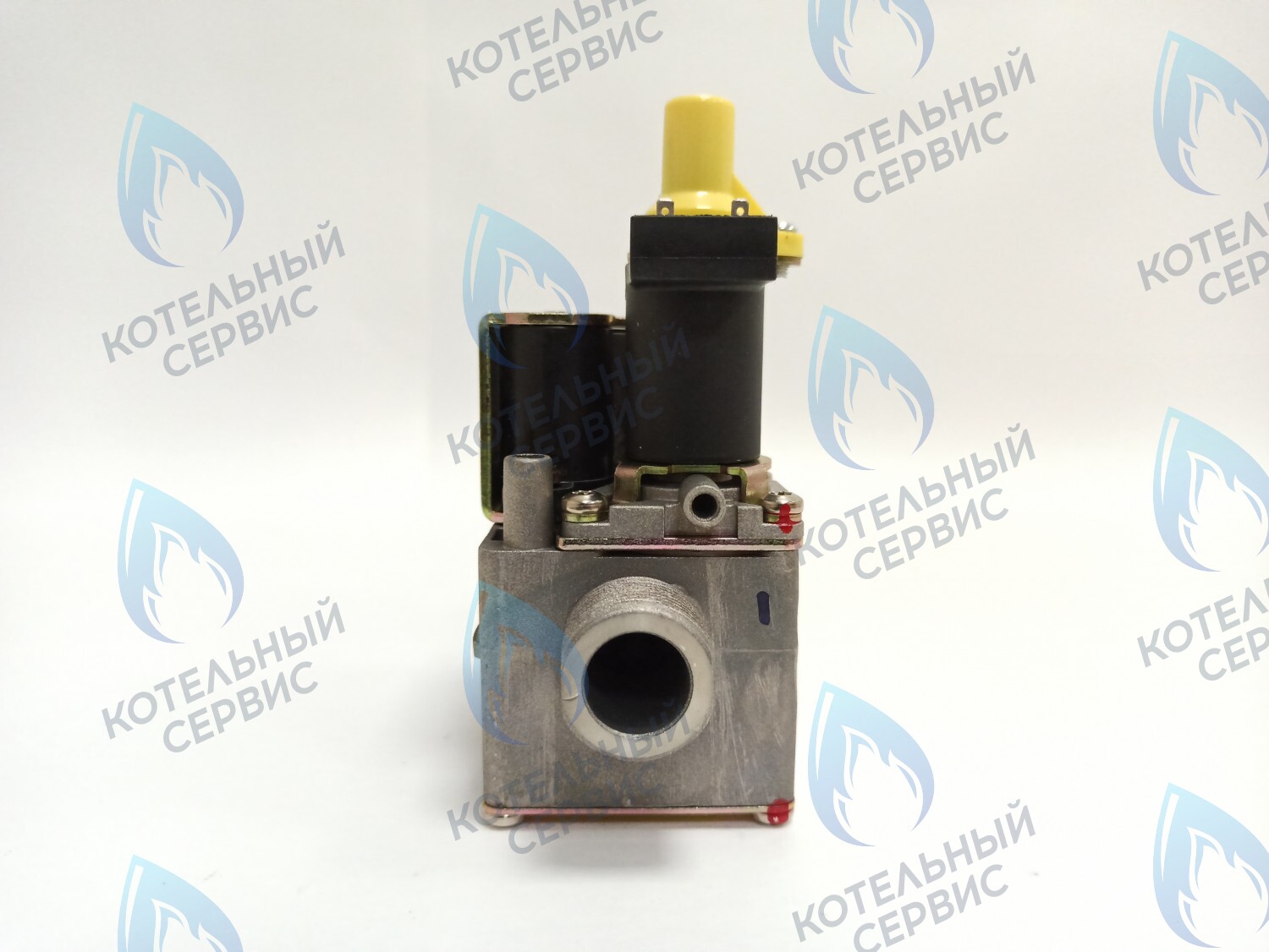 AA10021032 Газовый клапан Electrolux (AA10021032) в Барнауле
