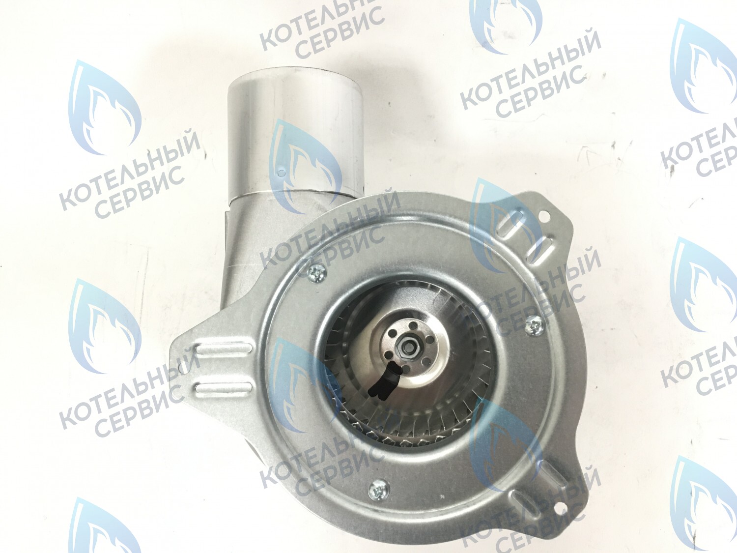 30929 Вентилятор дымоудаления (128224-01.200) BALTGAZ в Барнауле