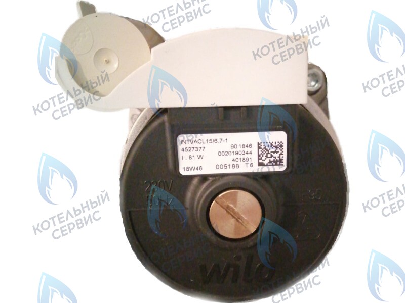 0020186161 Двигатель насоса Protherm Lynx Condens 18/25 MKV -A (H-RU) (81W) (без улитки) (против часовой, втулка 40мм, колесо 68/21мм) в Барнауле