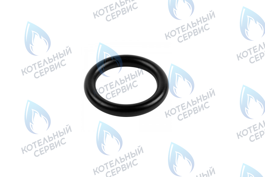 0020034114 Прокладка 14x9,5x2,5 PROTHERM в Барнауле