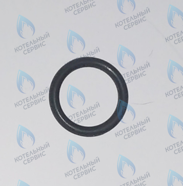 45560250 Кольцо уплотнительное FERROLI в Барнауле