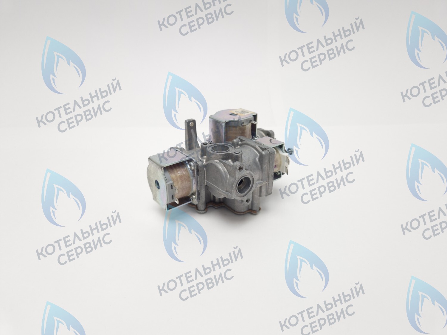B200-02E-190 Клапан газовый 110V LOTTE E&M Coaxial 13-30K в Барнауле