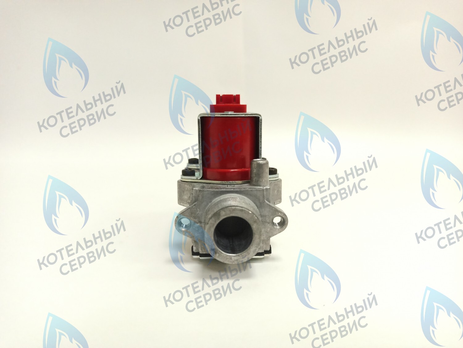 BI1373 100 Газовый клапан B&P (BI1373 100) BIASI в Барнауле