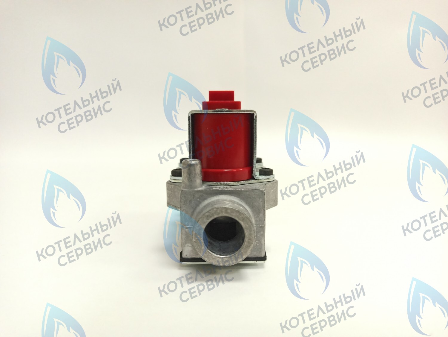 BI1373 100 Газовый клапан B&P (BI1373 100) BIASI в Барнауле
