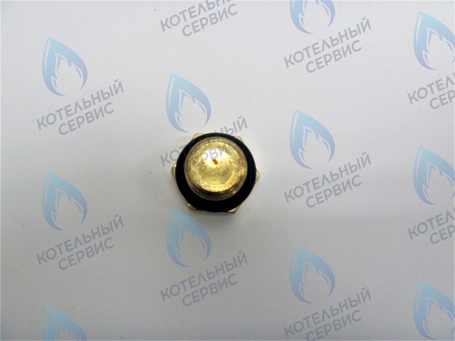 ZZ009 Заглушка 1/4" наружная резьба в Барнауле