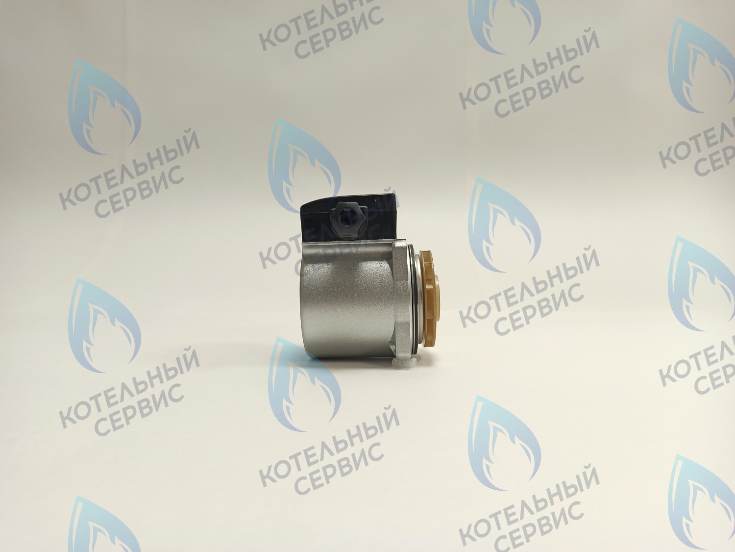 PH-G30CCW65-DG120 Двигатель насоса (против часовой) DUCA GX 15-65 120w аналог Grundfos 15-65 в Барнауле