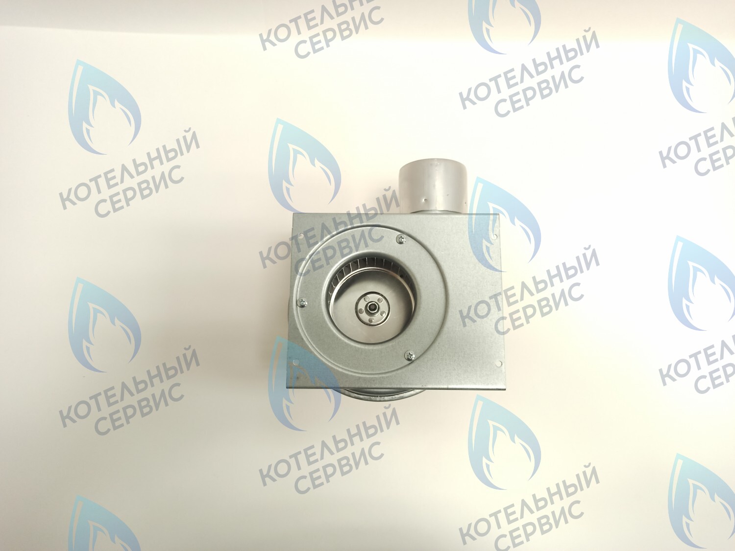 AF012-31W-C Вентилятор KENTATSU Nobby Balance Plus (17427600000588) в Барнауле