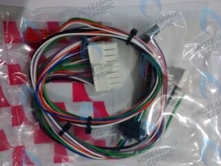 0020119603 Жгут проводов PROTHERM в Барнауле