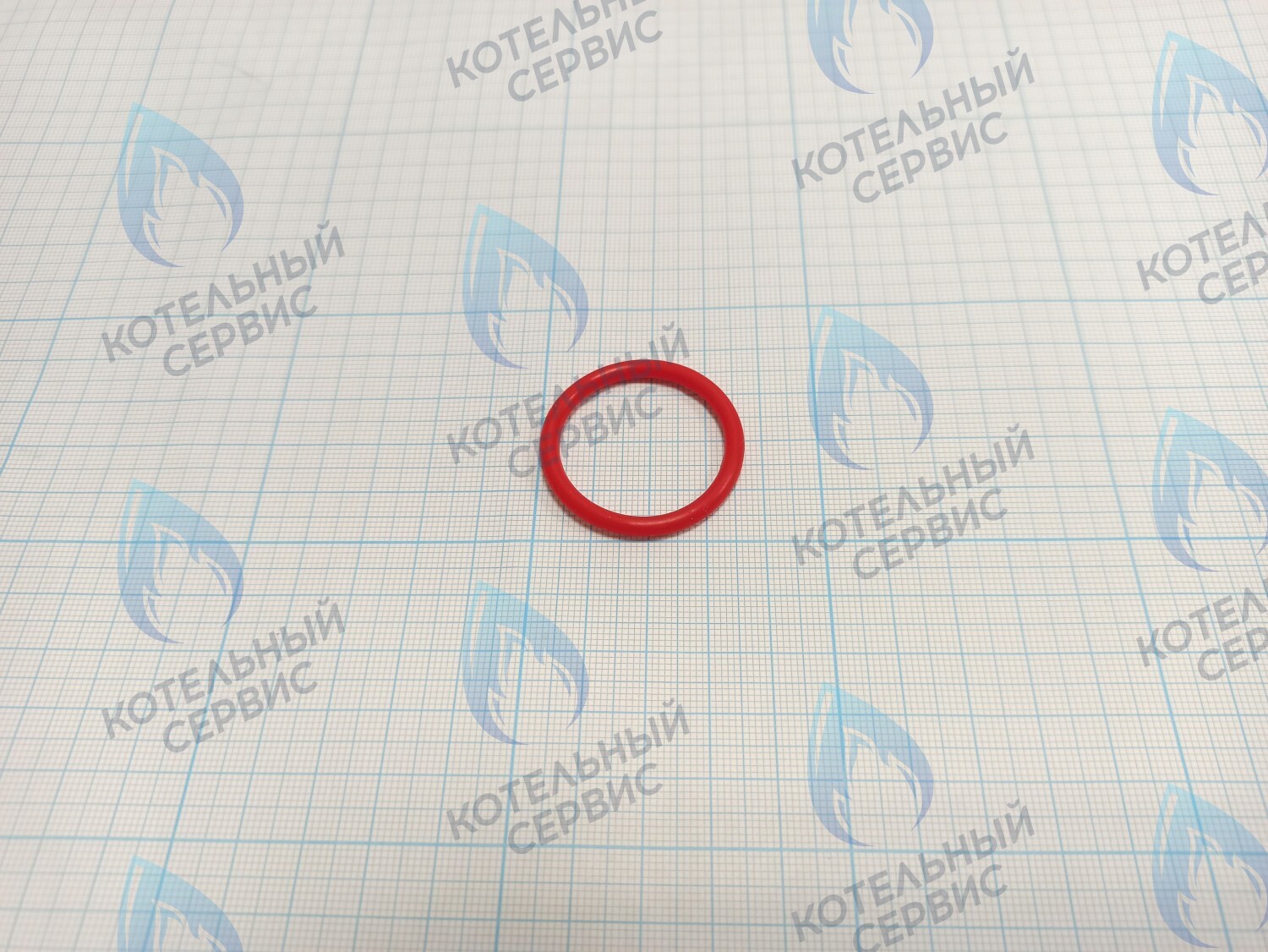 20007016A Кольцо уплотнительное O-ring Navien для фильтра (BH2423087A) в Барнауле