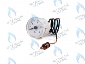Манометр CEWAL VIESSMANN старый тип (40030562)
