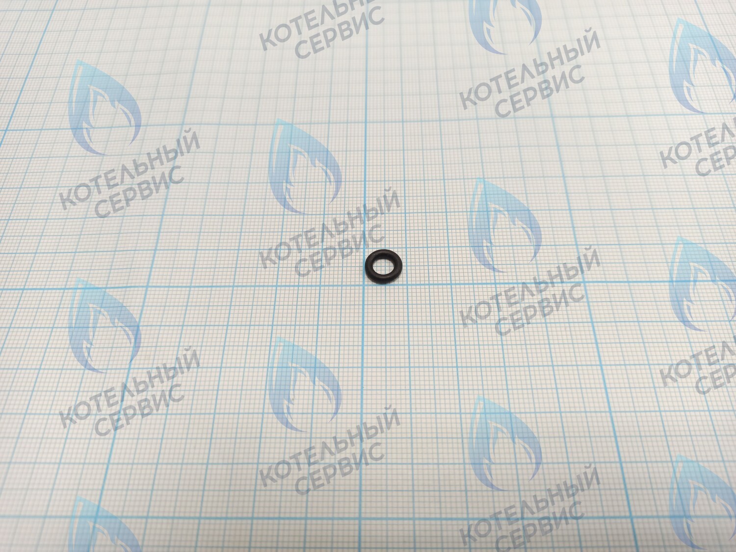 BI1001 116 Прокладка O-Ring 1,9x4,9 в Барнауле
