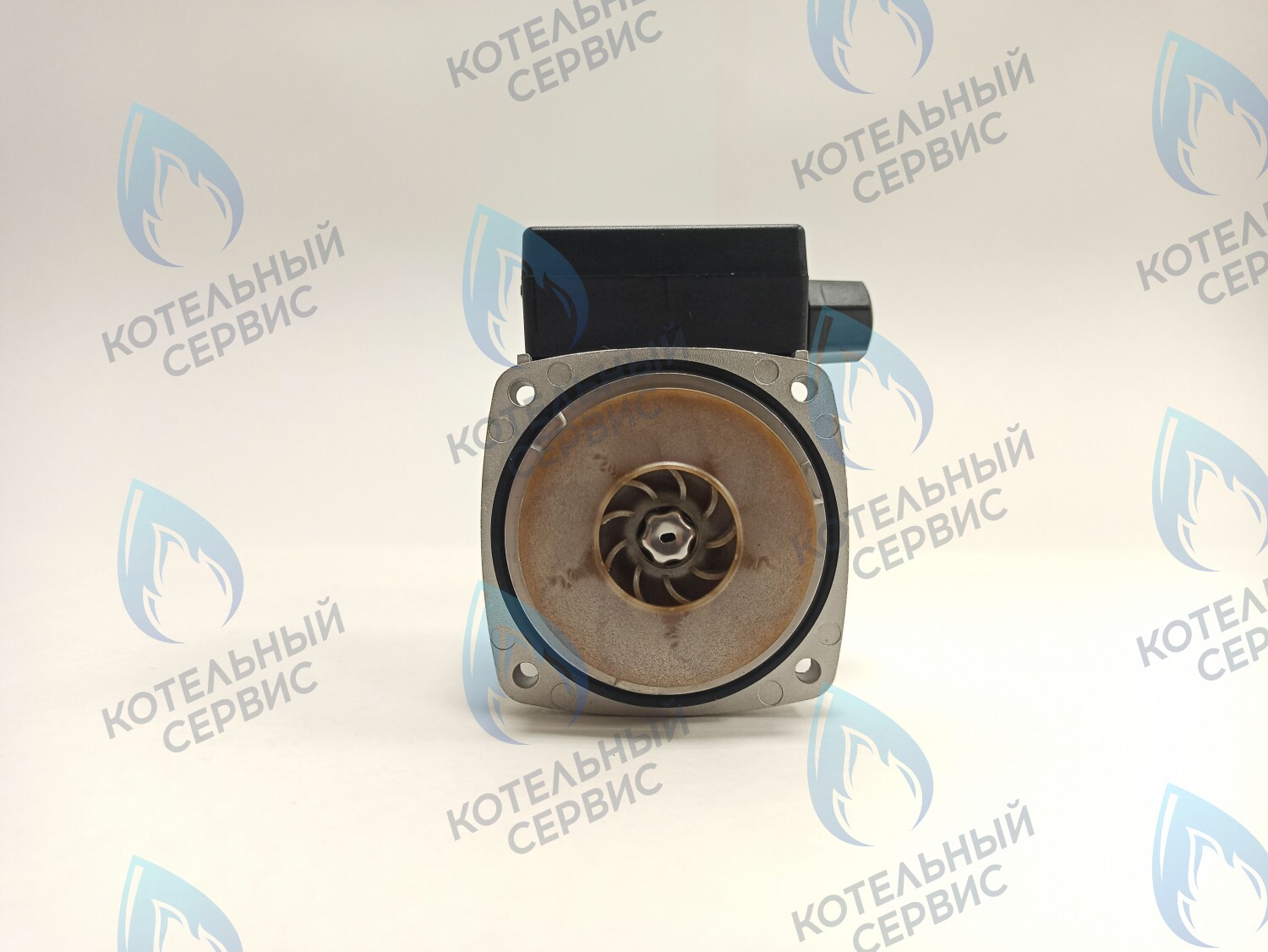 PH-G30CCW50-ER95-02 Двигатель насоса (против часовой) ERCO DWP15-50-A (без улитки) в Барнауле