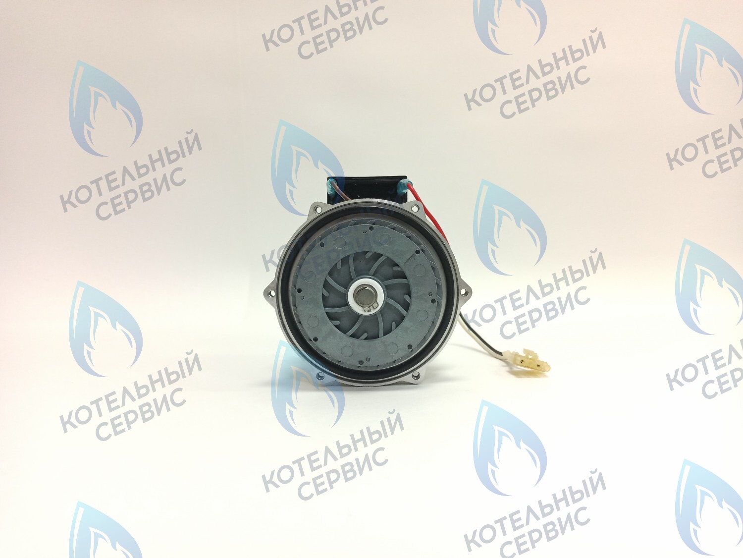 PH-S46CW74-CS81 Двигатель насоса (без улитки, с прокладкой) 81w GRUNDFOS CS-0108DSA  ARDERIA  CELTIC-DS  MASTER GAS SEOUL 30кВт-35кВт DAESUNG A30-41 в Барнауле