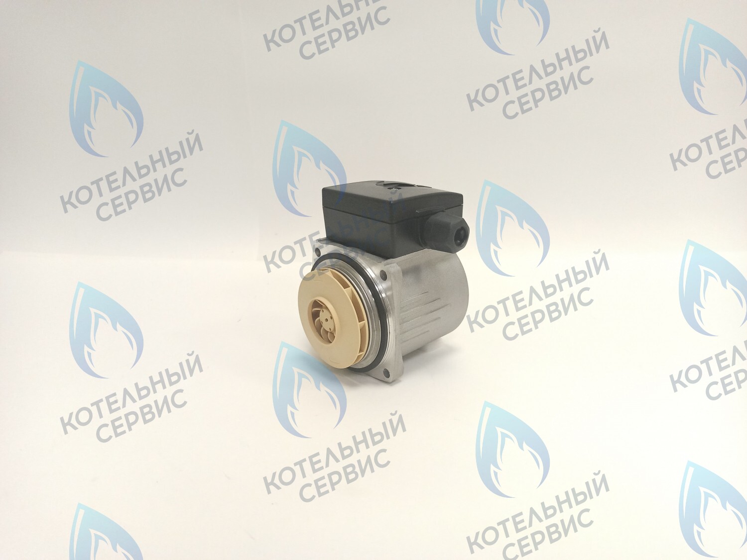 PH-P30CCW50-PR75 Двигатель насоса (против часовой) Protherm 15-50S (0020207146, 0020119604) в Барнауле