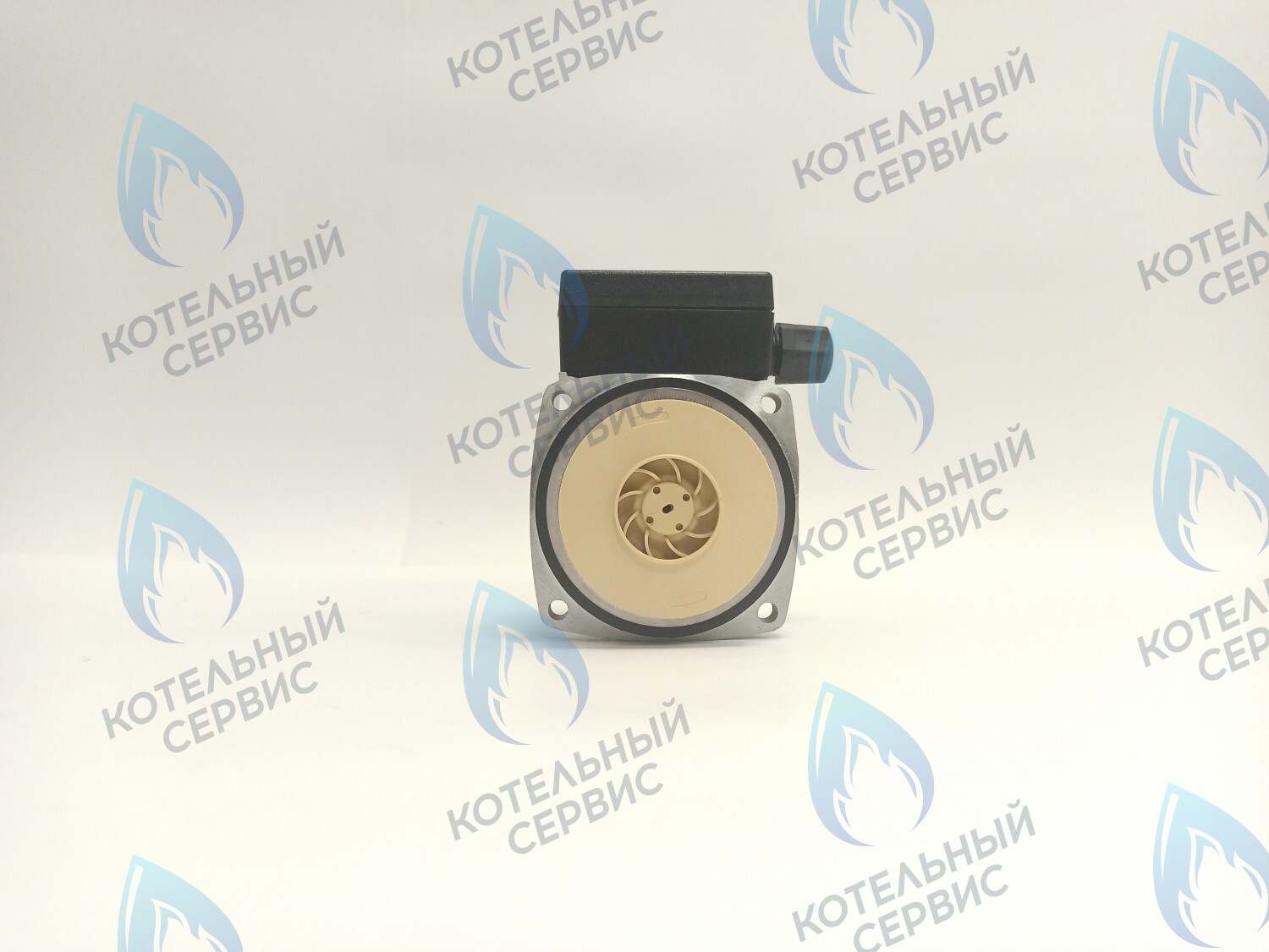 PH-P30CCW50-PR75 Двигатель насоса (против часовой) Protherm 15-50S (0020207146, 0020119604) в Барнауле