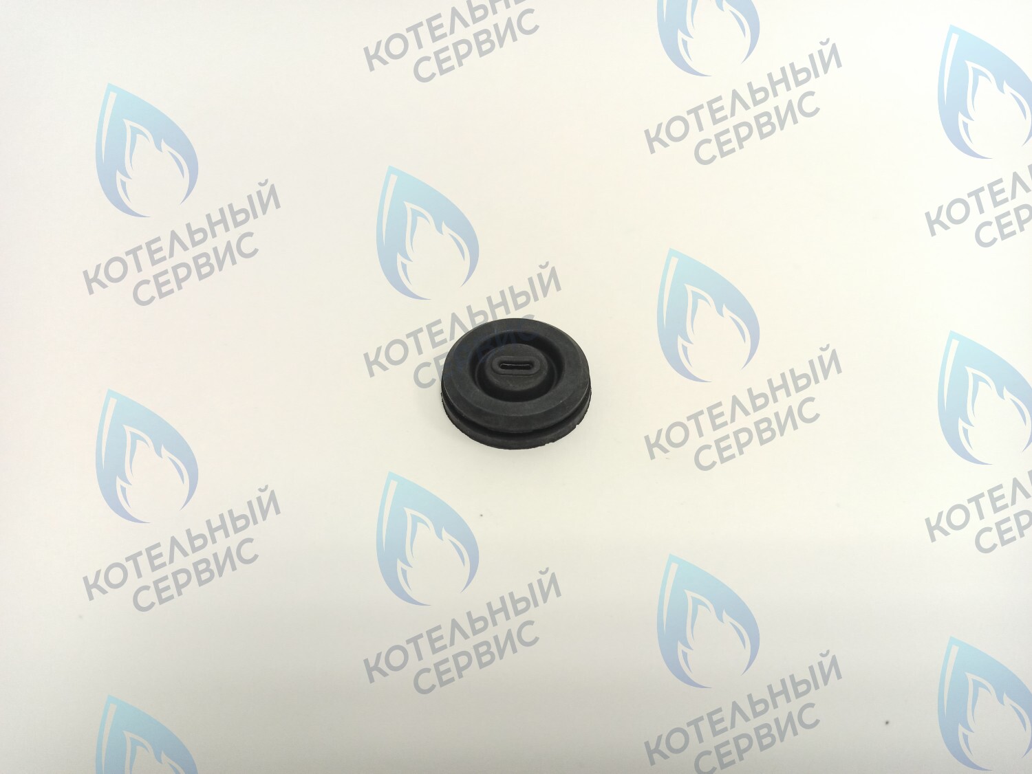 BI1002 115 Уплотнительное кольцо электро кабелей (BI1002 115) BIASI в Барнауле