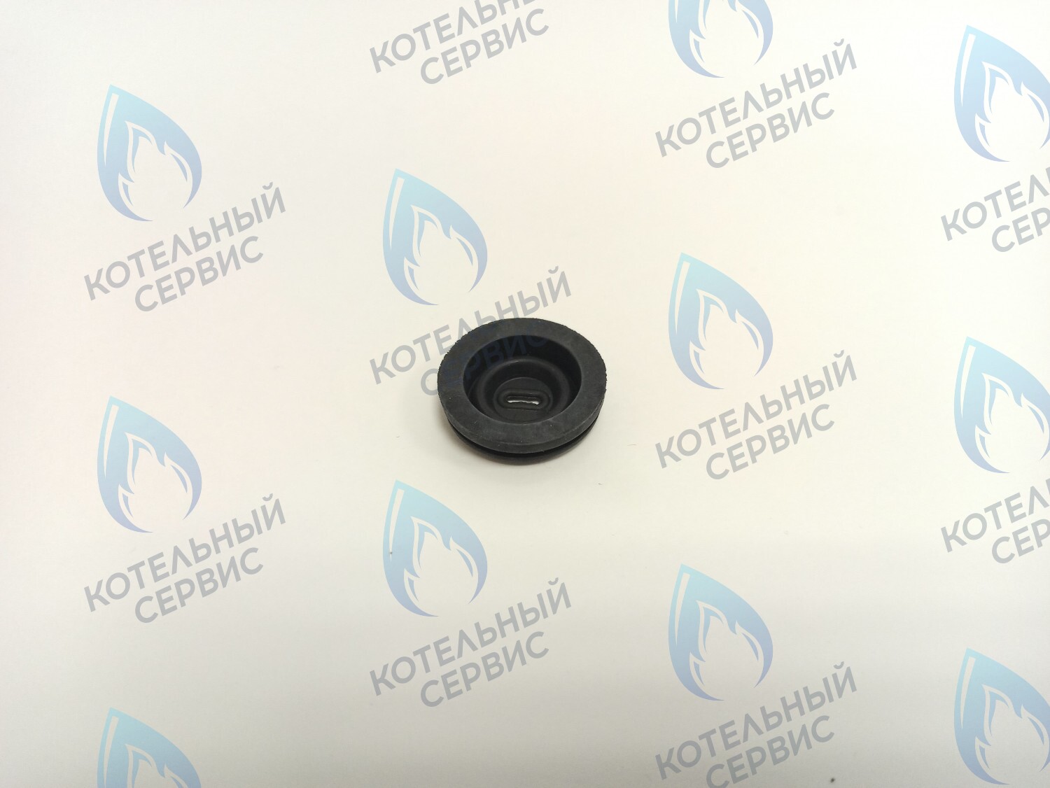 BI1002 115 Уплотнительное кольцо электро кабелей (BI1002 115) BIASI в Барнауле