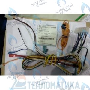 30003022A Жгут кабельный в сборе с коннекторами Atmo NAVIEN в Барнауле