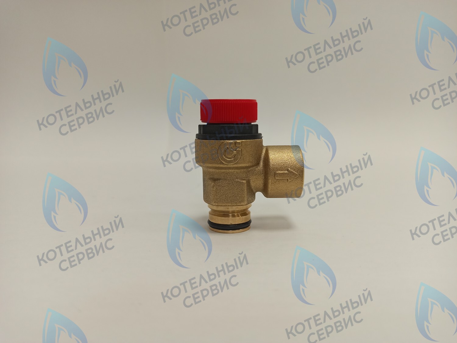 EV030-02-CF Сбросной предохранительный клапан A312 401 CST в Барнауле