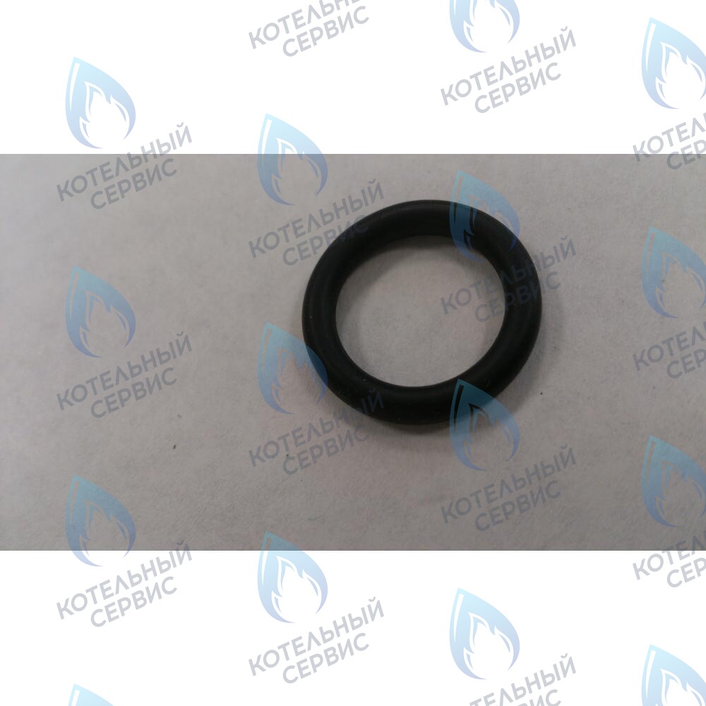 6399440050 Уплотнение кольцевое 3X14X20 BAXI в Барнауле
