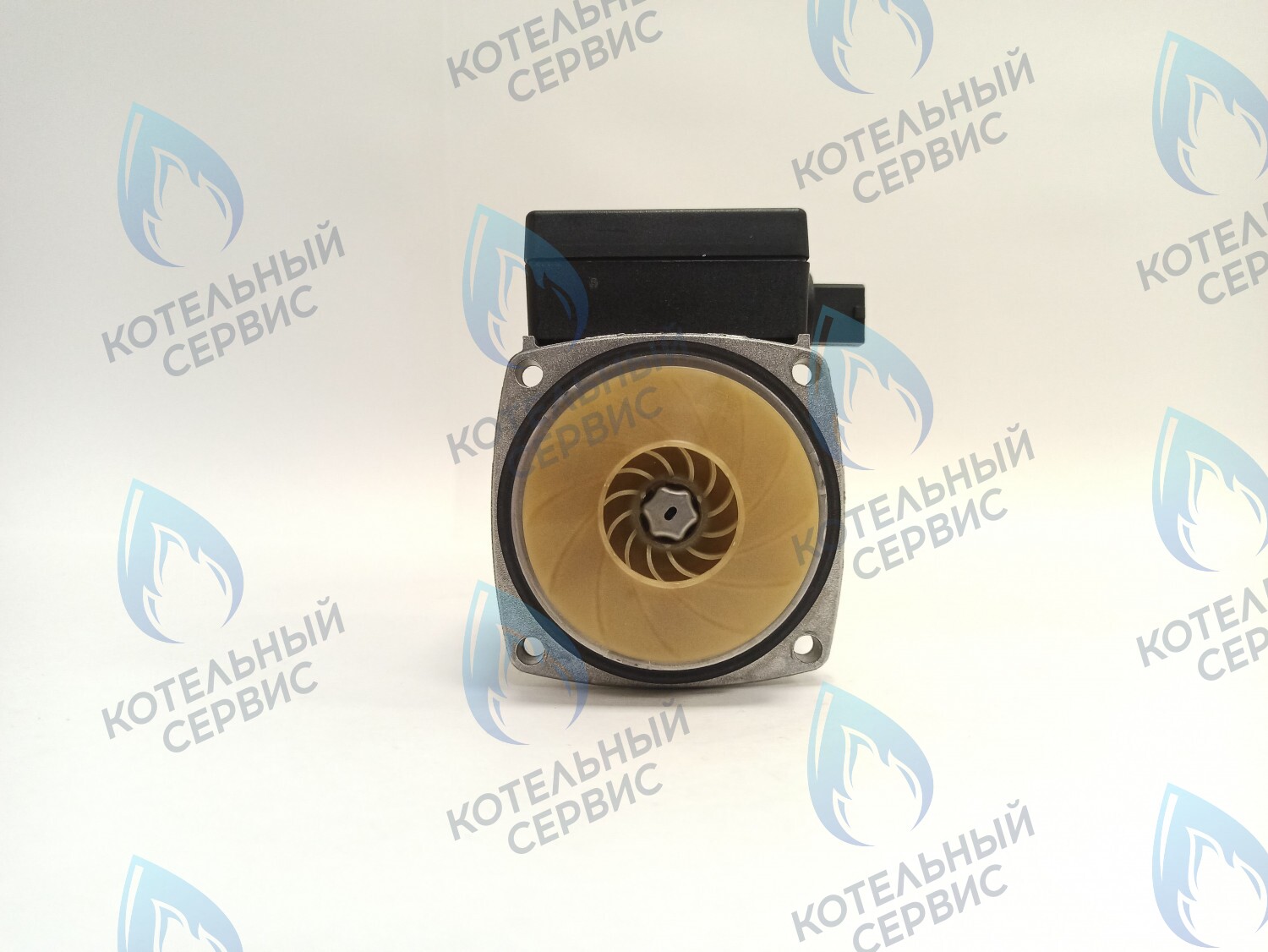 PH-G30CCW50-GR75-FL Двигатель насоса GRUNDFOS 15-50 75w с коннектором в Барнауле