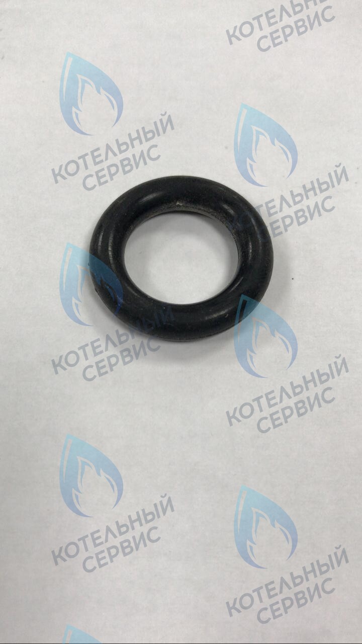39864460 Прокладка O-ring циркуляционного насоса FERROLI в Барнауле