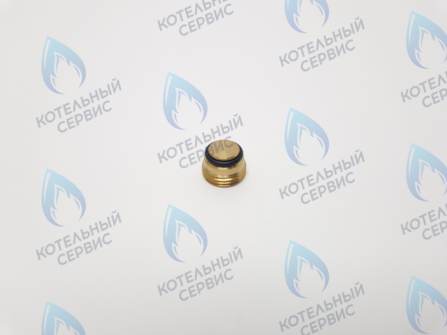 GVP020 Заглушка на клапан Sit 630 (0.972.061) в Барнауле
