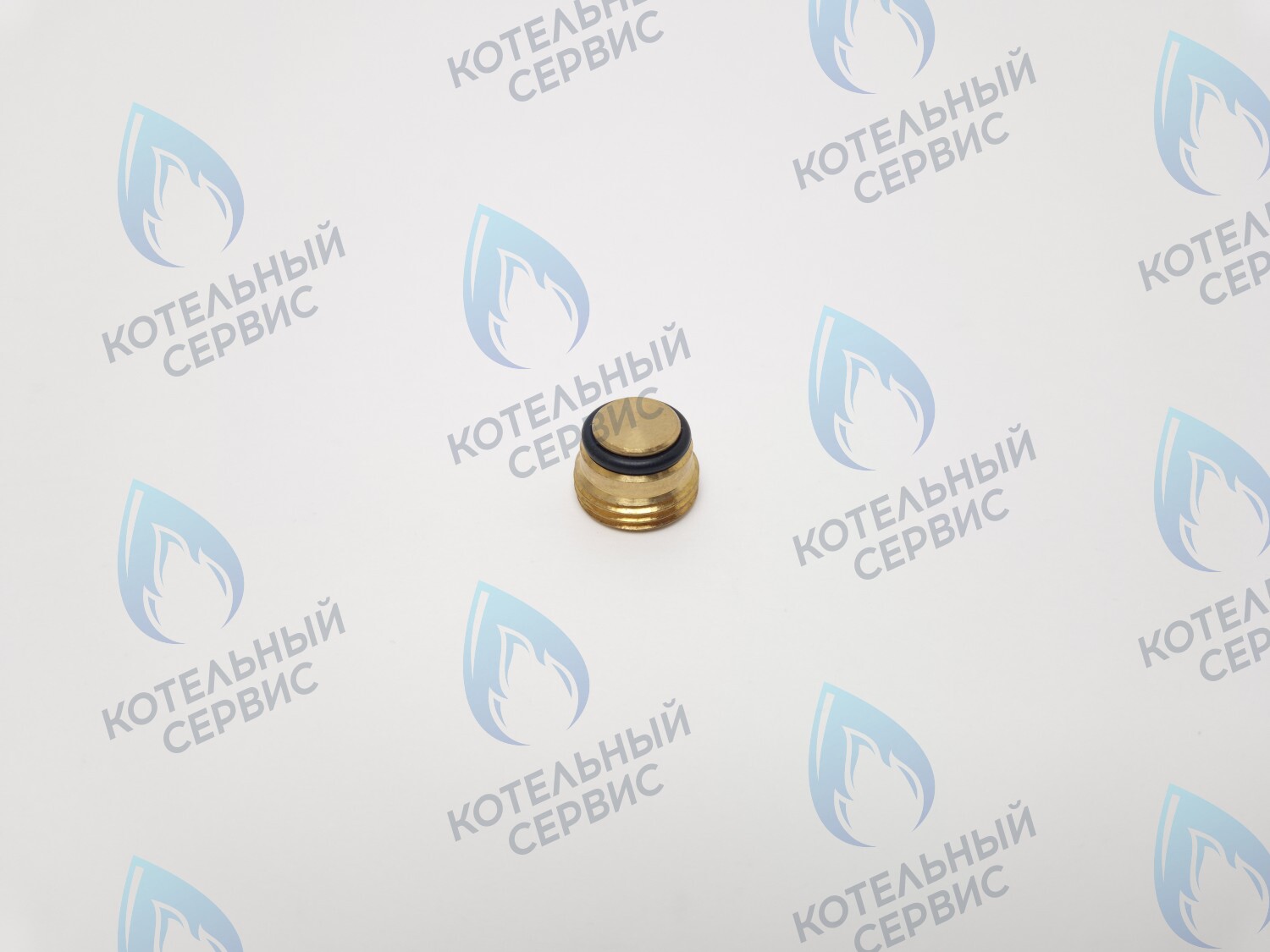 GVP020 Заглушка на клапан Sit 630 (0.972.061) в Барнауле