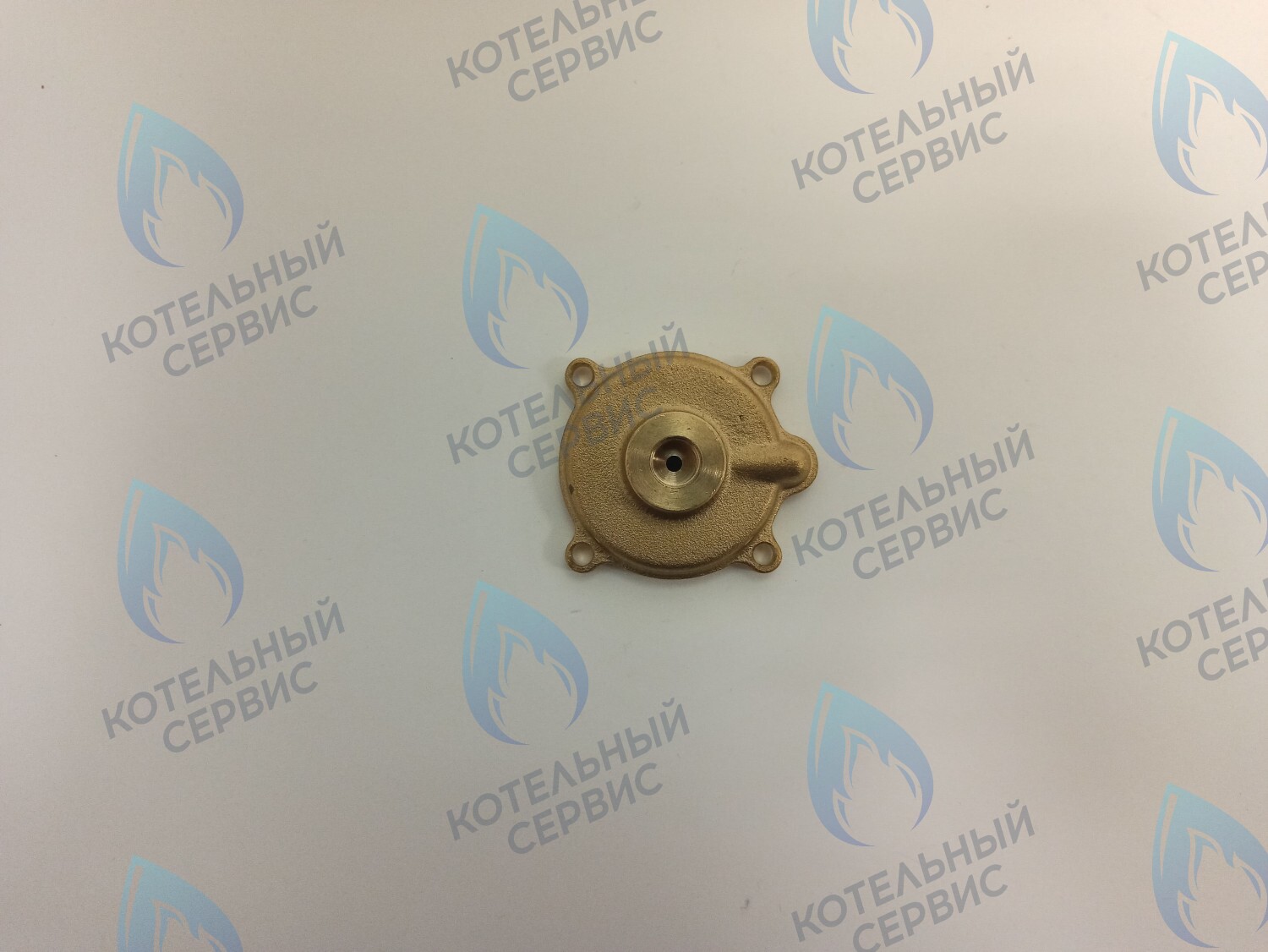 50101027 Крышка датчика протока (50101027) ELECTROLUX в Барнауле