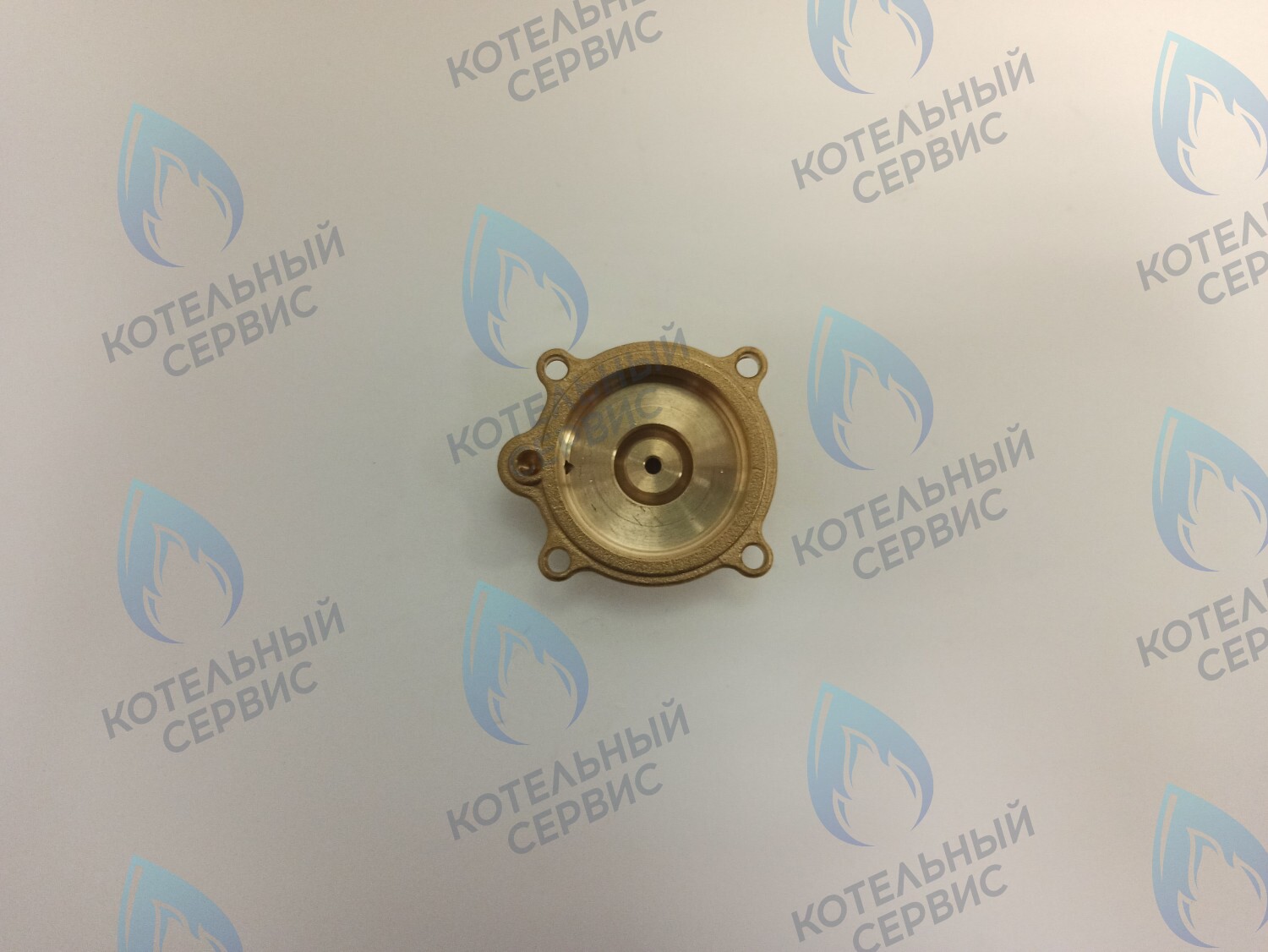 50101027 Крышка датчика протока (50101027) ELECTROLUX в Барнауле