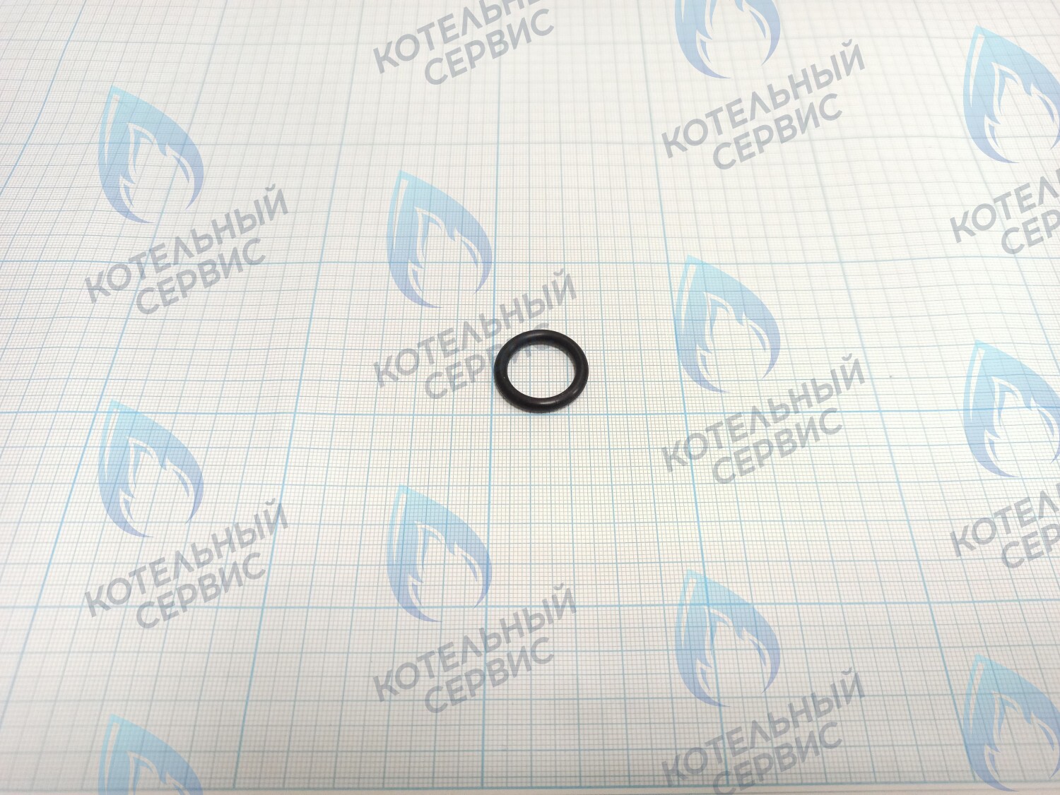 TY02020049 Прокладка O-Ring 25x18x3.55 (TY02020049) ROYAL THERMO в Барнауле