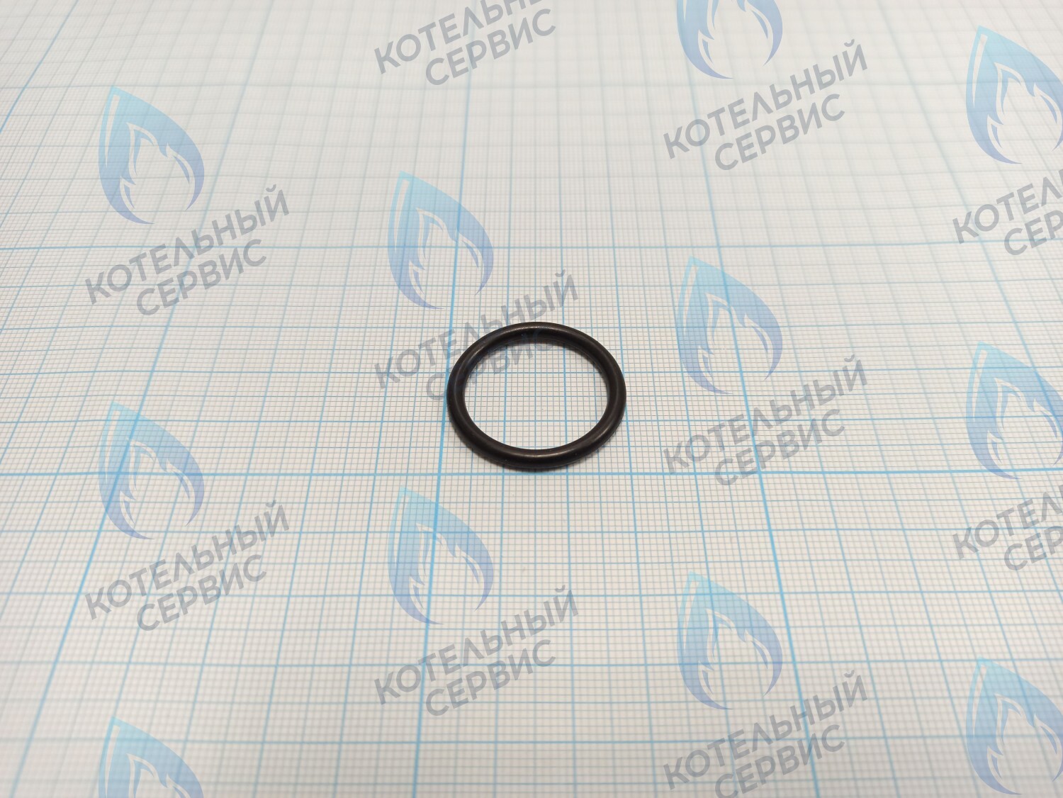 T10120-12 Прокладка 23.6X2.65 ROC в Барнауле