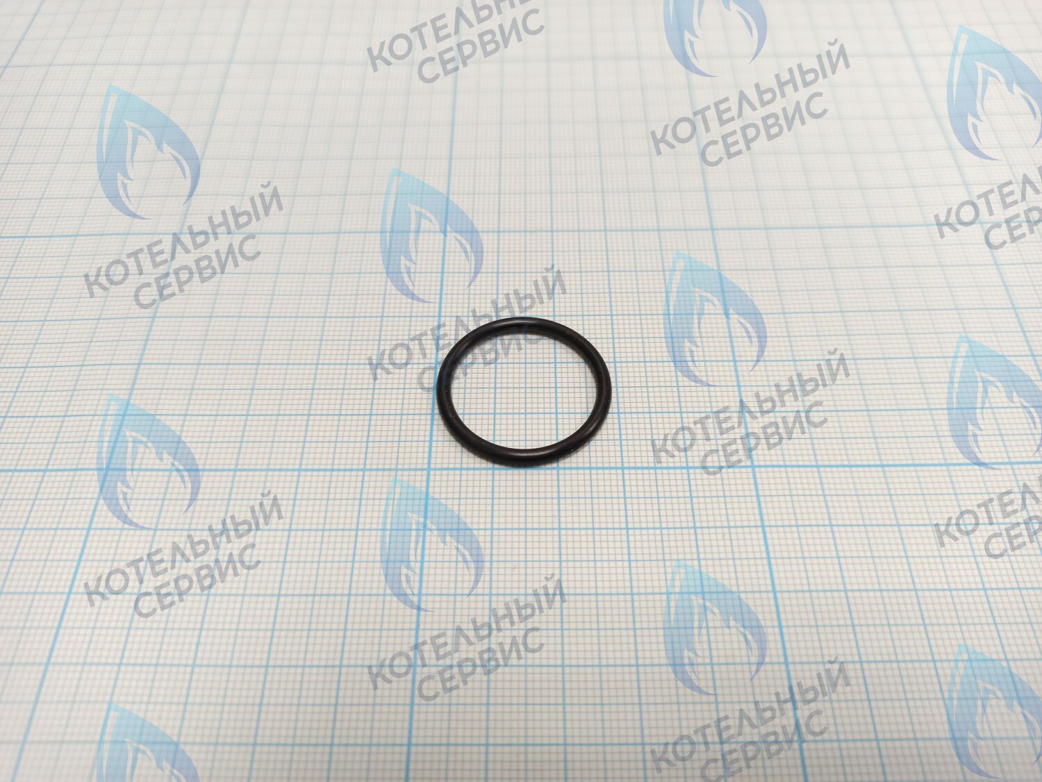 T10123-04 Прокладка уплотнительная резиновая 24x2,5 EPDM ROC в Барнауле