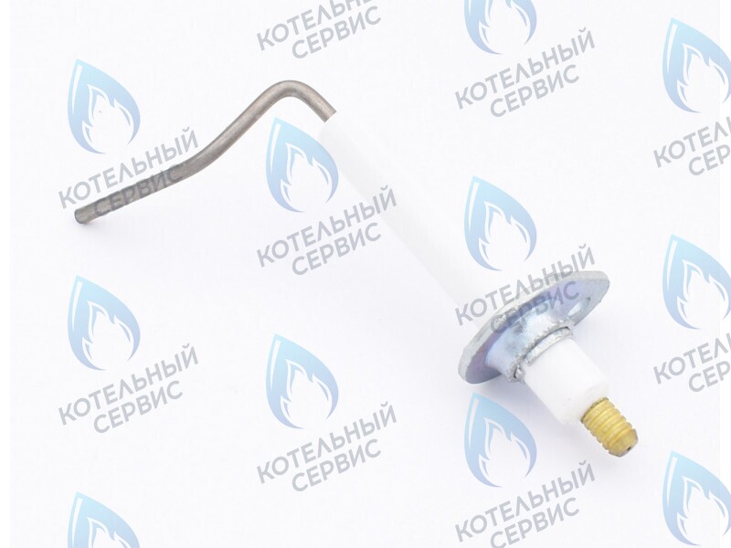 0020097415 Электрод ионизации Protherm Леопард 24 MTM-CC/1 (H-RU) в Барнауле