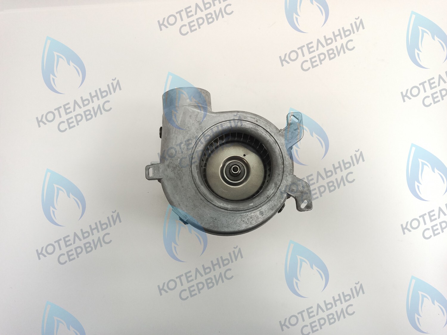 AF001-38W-P-F Вентилятор дымоудаления FIME IMMERGAS MINI 24 - 39W GR03510 (1.021174), ALPHATHERM (6VENTILA13, 6VENTILA07), IMMERGAS (1.025794, 1.044632), FONDITAL (6VENTILA13, 6VENTILA19), BAXI (63111300821P), FEDERICA BUGATTI VARME (BF001B) в Барнауле