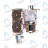 46560120 Газовый клапан (электронная регулировка) BL22-02DC-DC220V FERROLI в Барнауле