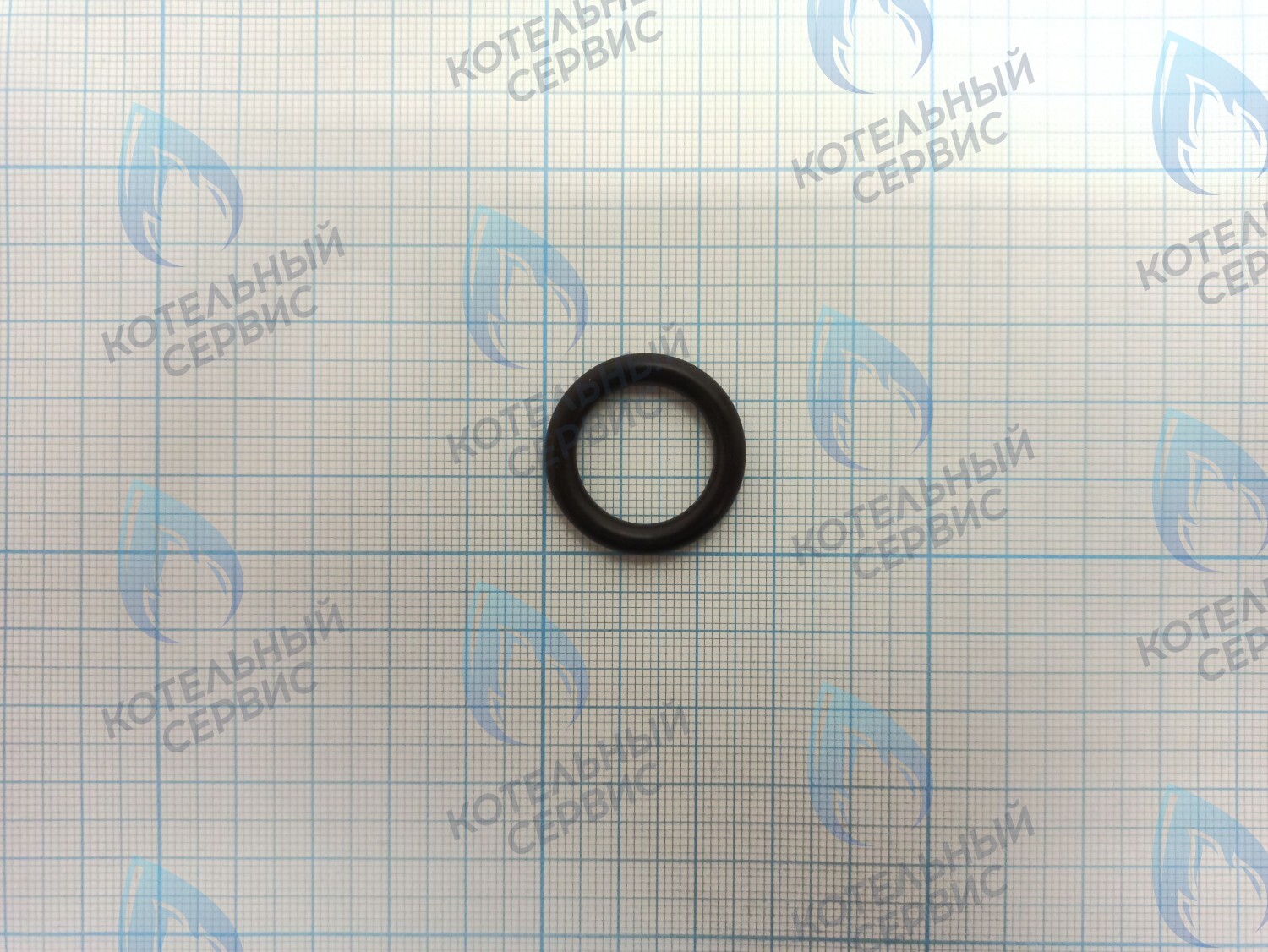 ZR101 Уплотнительное кольцо (прокладка) соединения гидрогруппы и улитки циркуляционного насоса в Барнауле