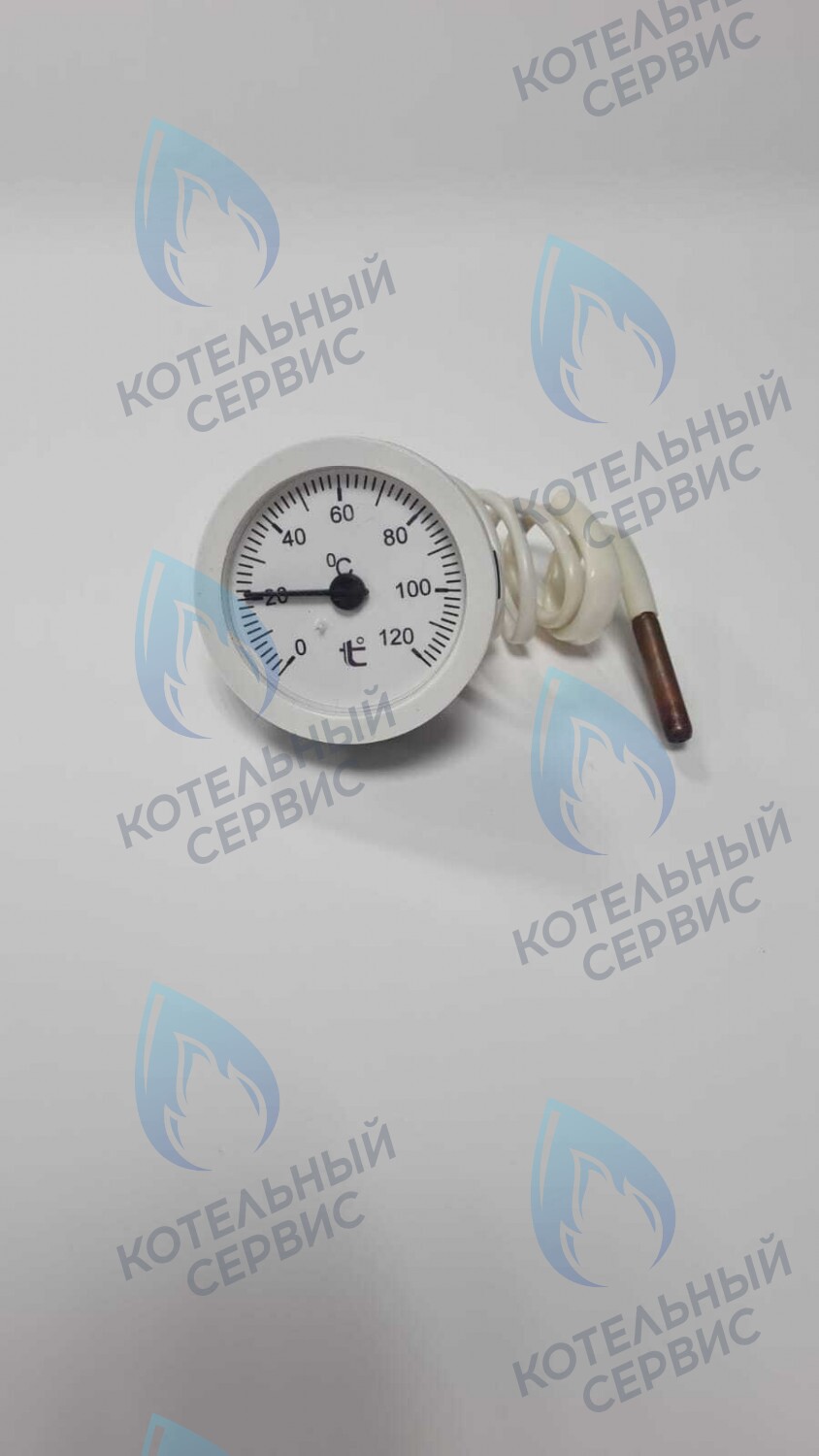 ST002-02 Термометр капиллярный круглый белое кольцо d 51,5 мм, длина капилляра 550 мм, 0-120С в Барнауле